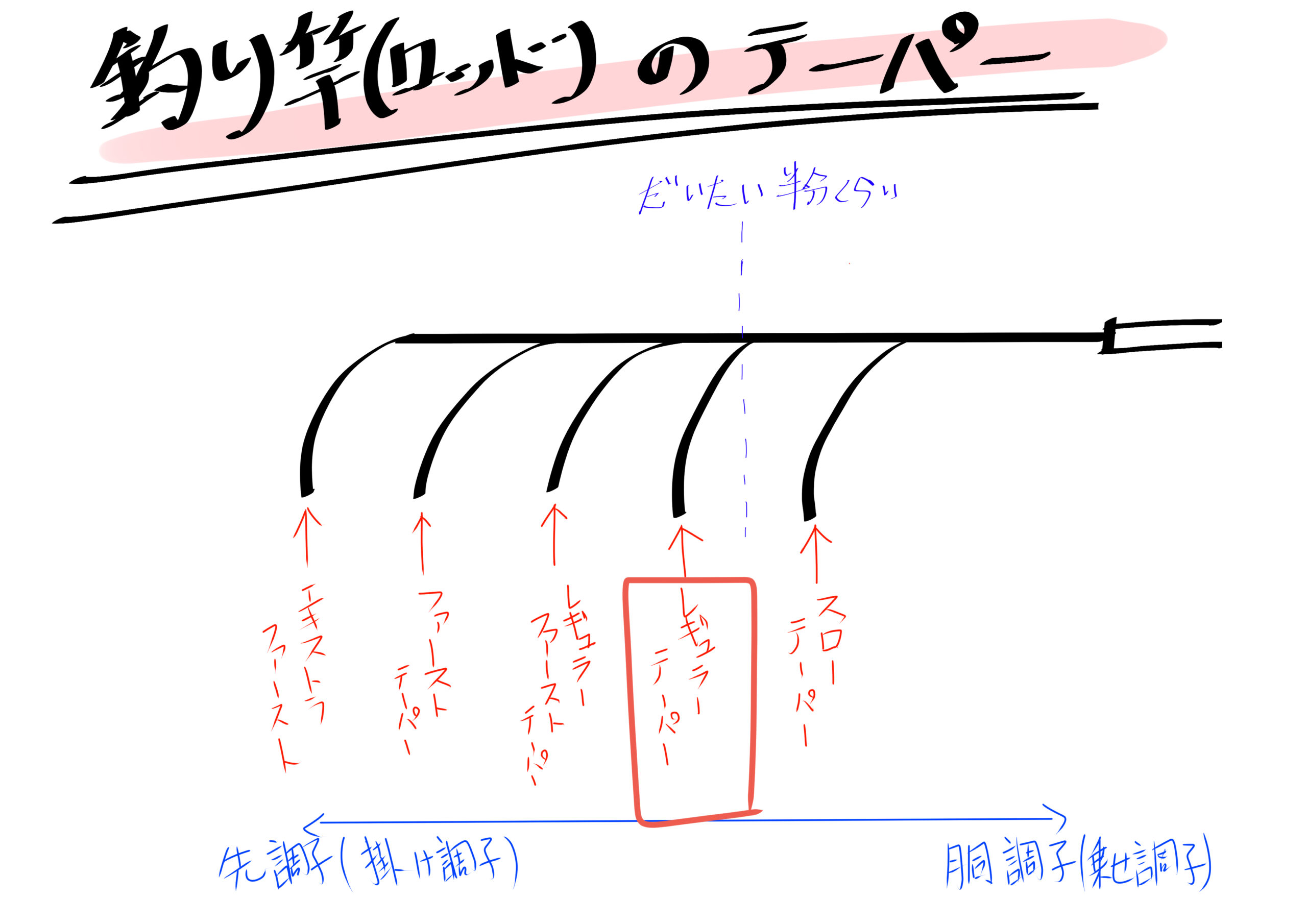 バス釣り バスロッド の基礎知識 テーパー パワー 硬さ 長さ 弾性 感度の解説