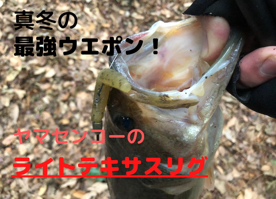 本当は教えたくない最終兵器 真冬の野池 ヤマセンコーのライトテキサスを使って43cm釣ったので 釣り方とセッティングを紹介します