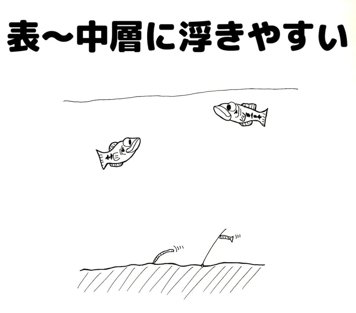 野池攻略 5月の野池でバスを釣るための基本戦略と ボウズ逃れテクニック