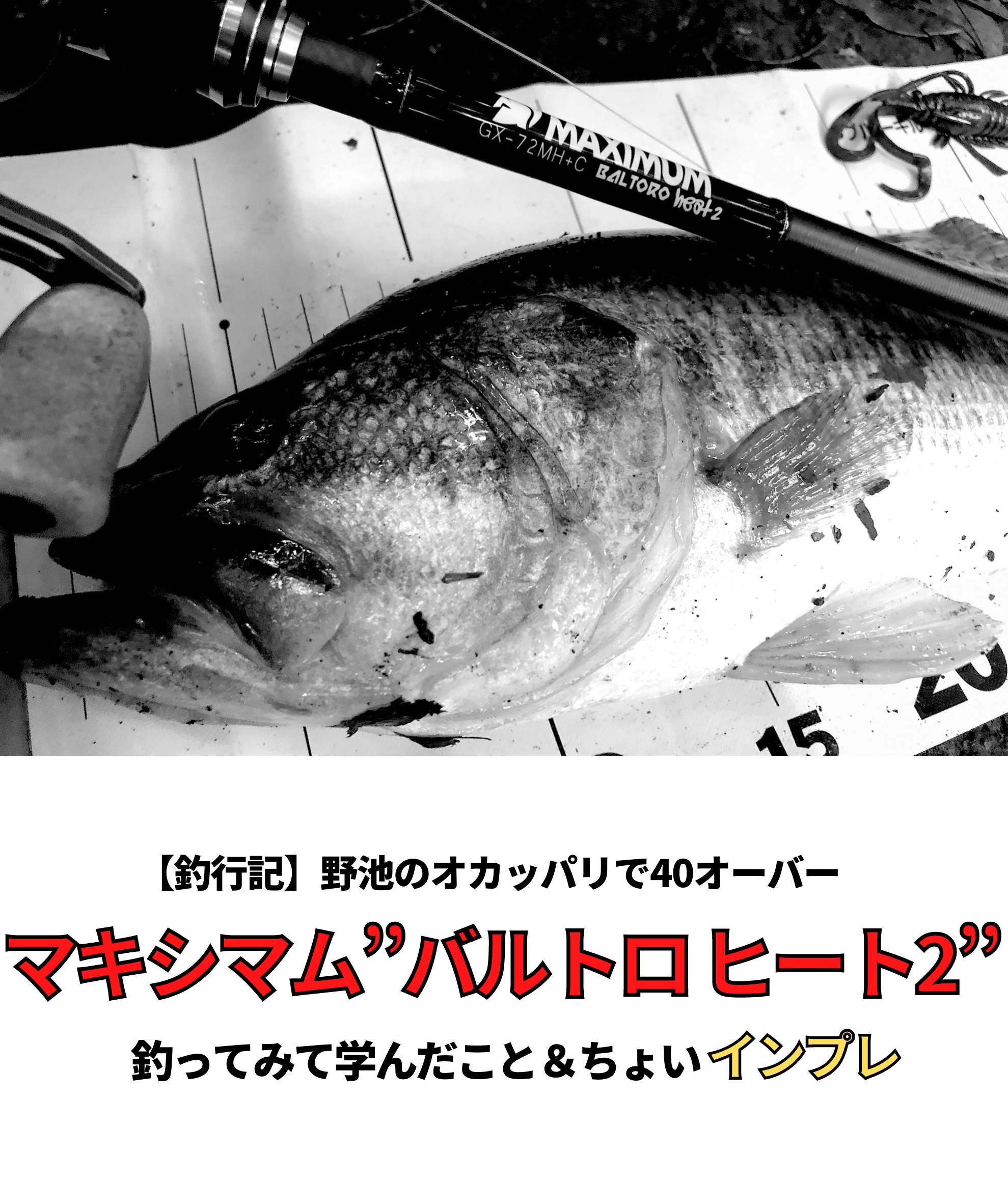実釣インプレ 43cm釣ってきた レイドジャパン マキシマム バルトロ ヒート2 は 高感度すぎて水中映像が 視える ロッドだ