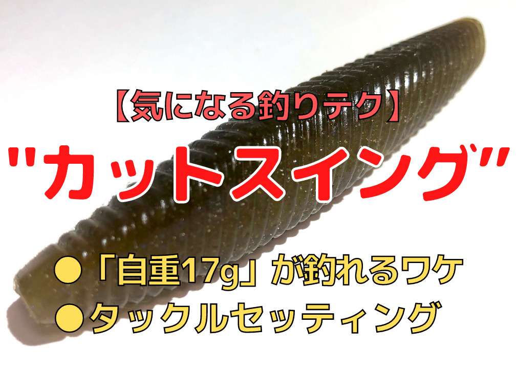 気になる釣りテク カットスイング の有効性とは 自重17gワームが釣れるワケ タックルセッティング ロッド ライン選び