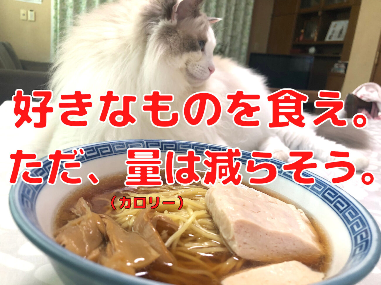 ダイエットは継続すれば痩せる 好きなものを食べながらストレスなく痩せるコツを発見した
