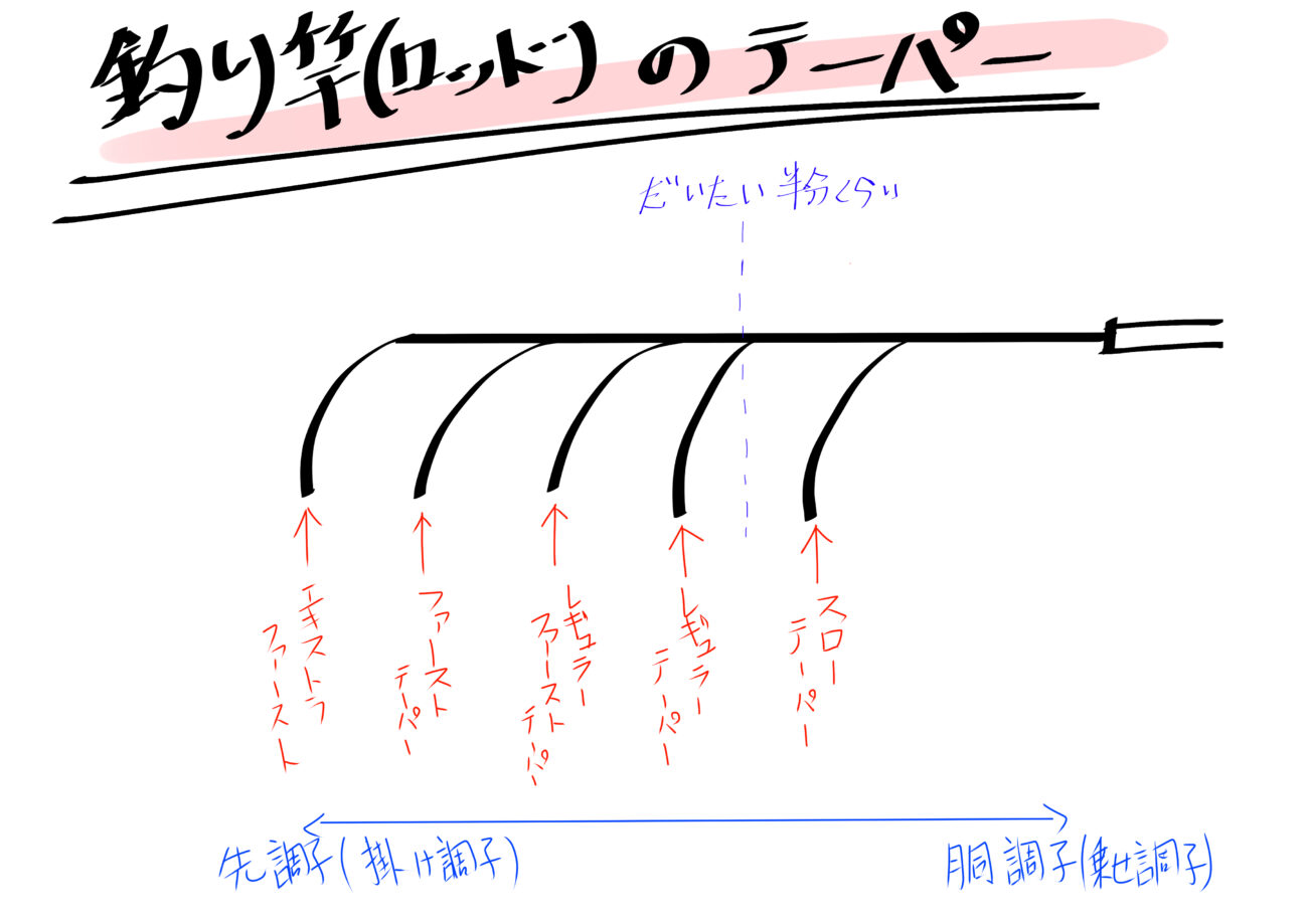 バス釣り スピナーベイト用ロッド選びのコツ 硬さ テーパー