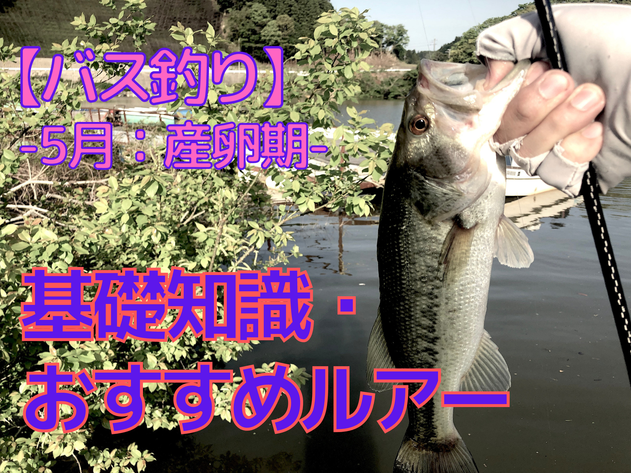 5月のバス釣り｜基本戦略・基礎知識、持ち込むべきタックル＆おすすめ