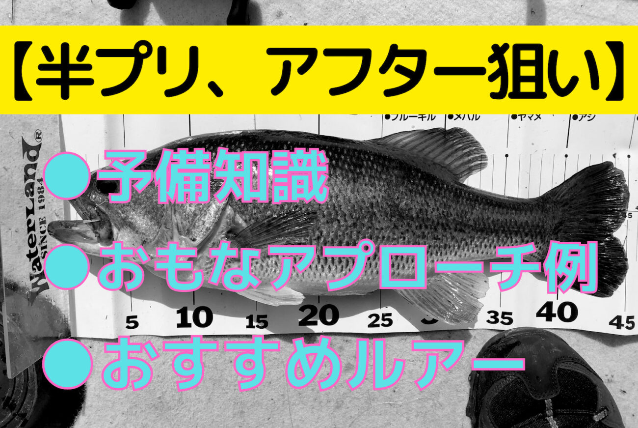 バス釣り 半プリ アフター 回復系 の魚の釣り方 大前提として知っておくべきこと おすすめルアー