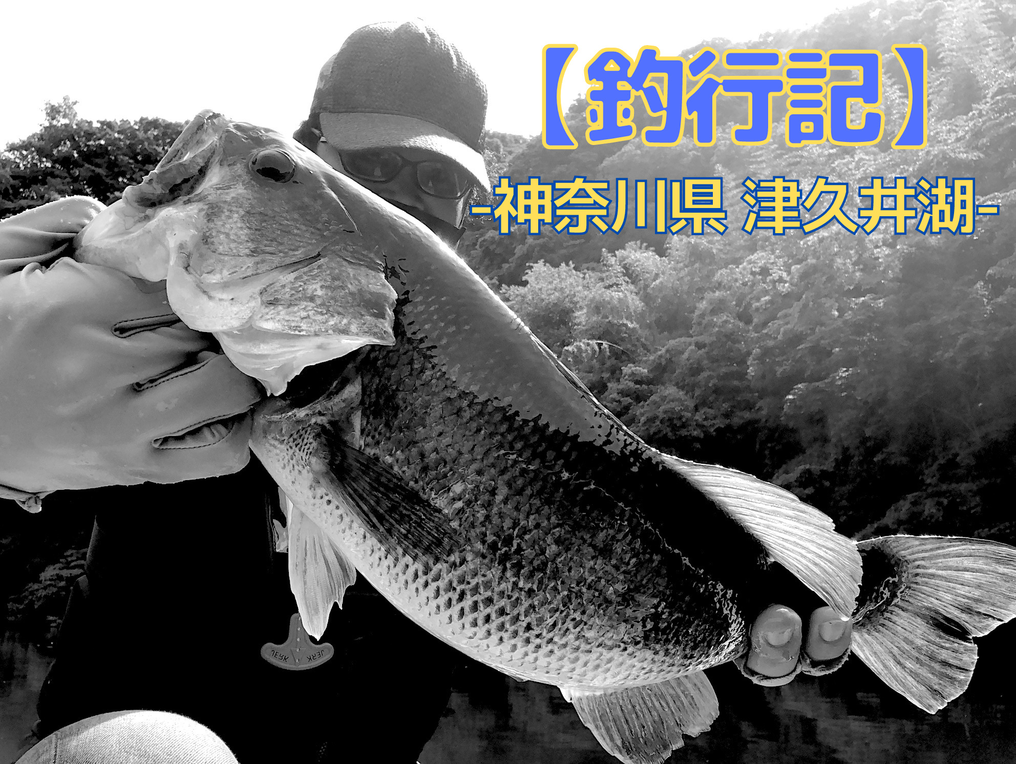 釣行記】5月の超満水の津久井湖、「〇〇〇〇5インチ」で良型が釣れた