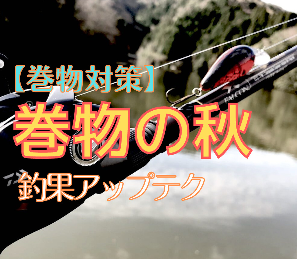 ルアーカラーの選び方