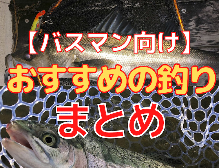 バス釣り専門アングラーにおすすめの他魚種の釣り 使用タックル例 まとめ